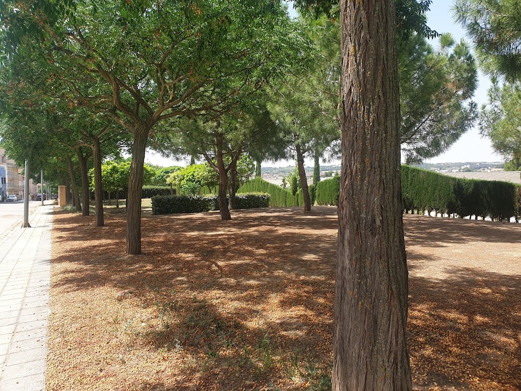 Parque Lineal Boltana