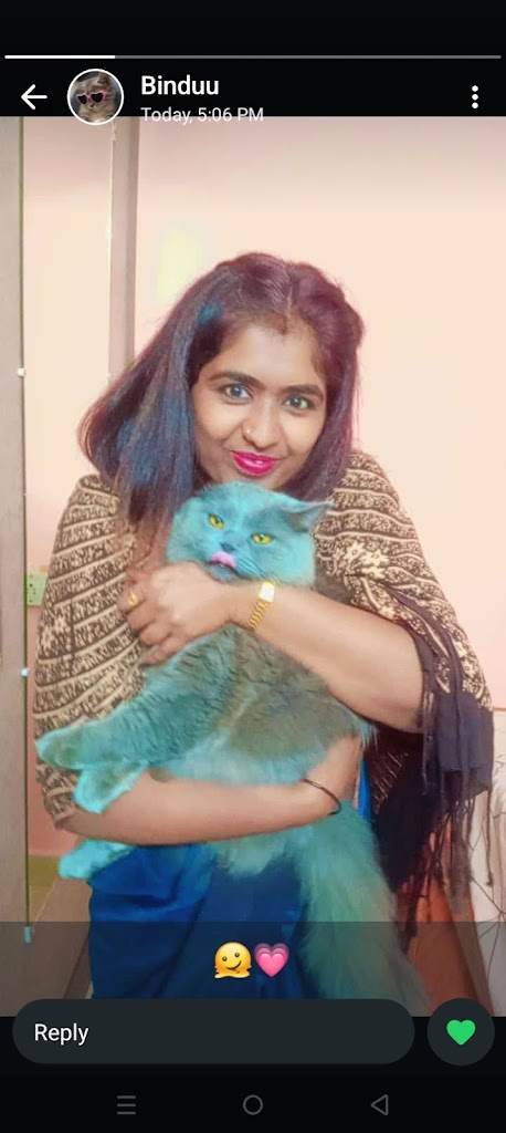 Gelathi Parlour Tattoo Makeup Salon Boutique Training Institute