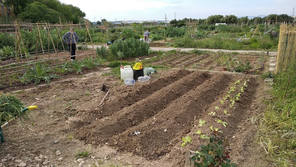 Huertos sociales y de ocio de Manises