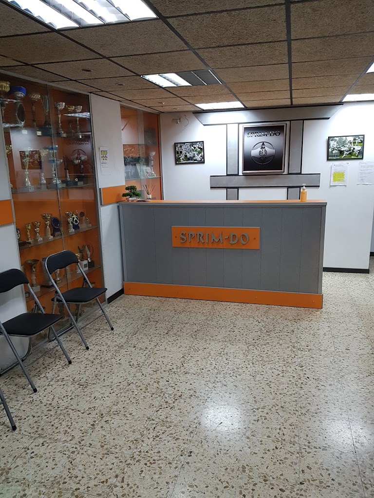 Club Esportiu Sprim-Do Serral Team