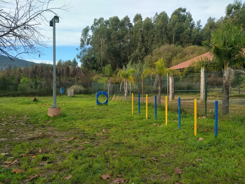 Parque de lecer para cans