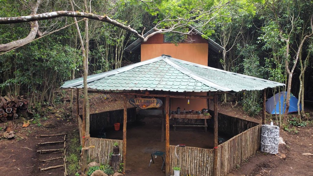 Camp Tea Forest - Forest Camping in Munnar-Kolukkumalai Camping