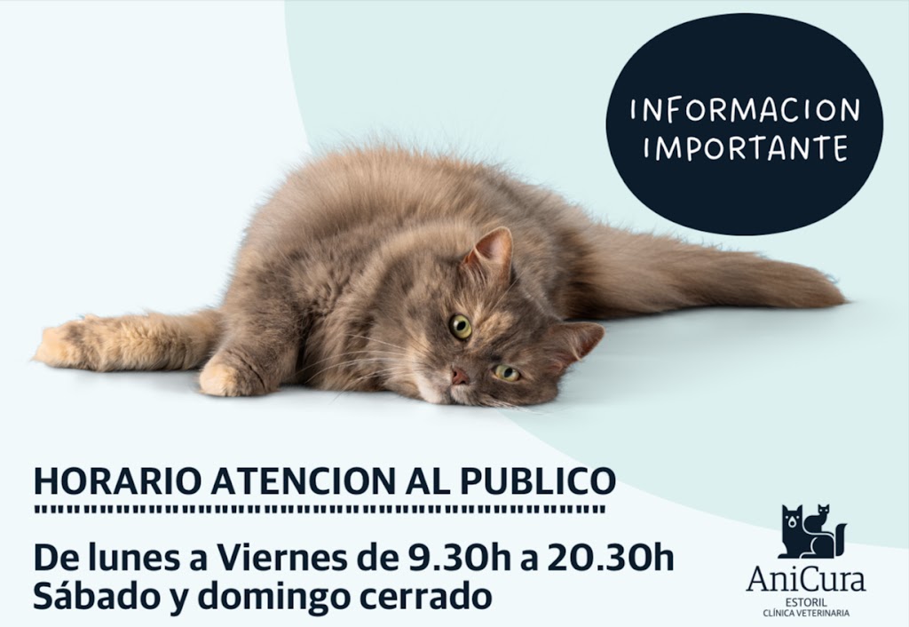 AniCura Estoril Clinica Veterinaria — Mas recientes