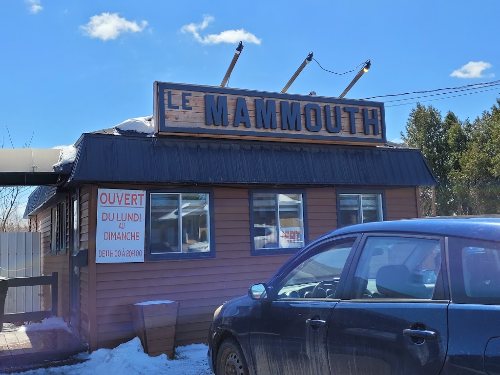 Le Mammouth in Thetford-Mines