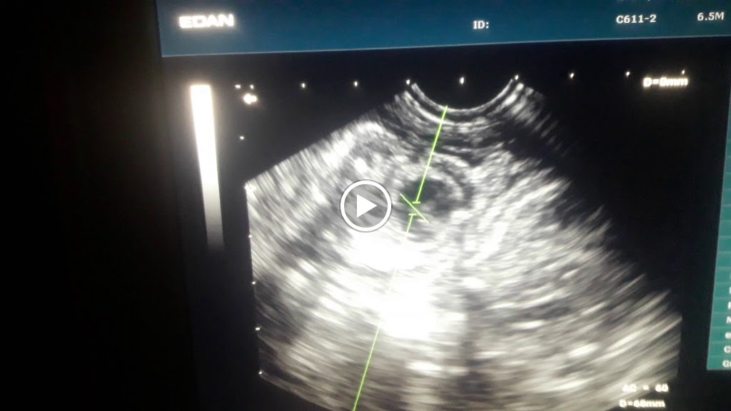 Clinica Veterinaria Manacor — Del propietario
