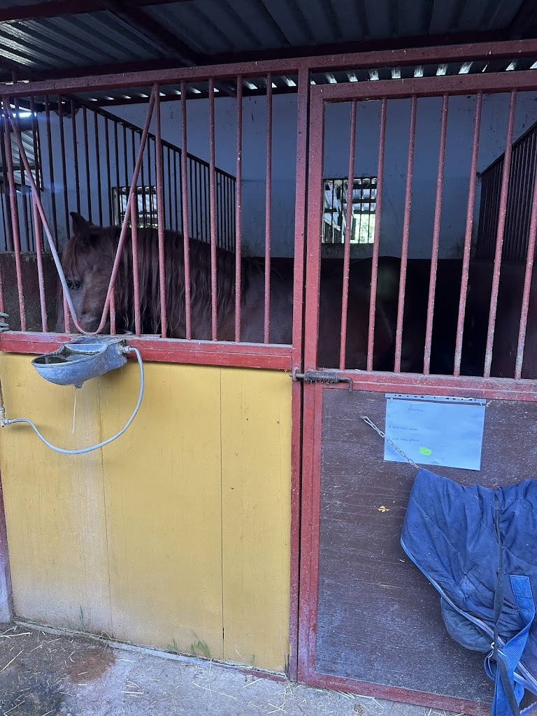 Centro Hipico "La Sierra"