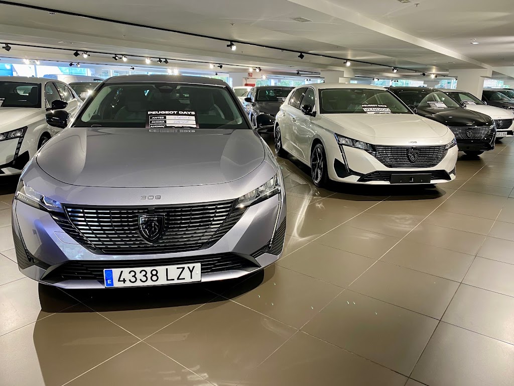 Peugeot Carza Gipuzkoa Motor — Todas