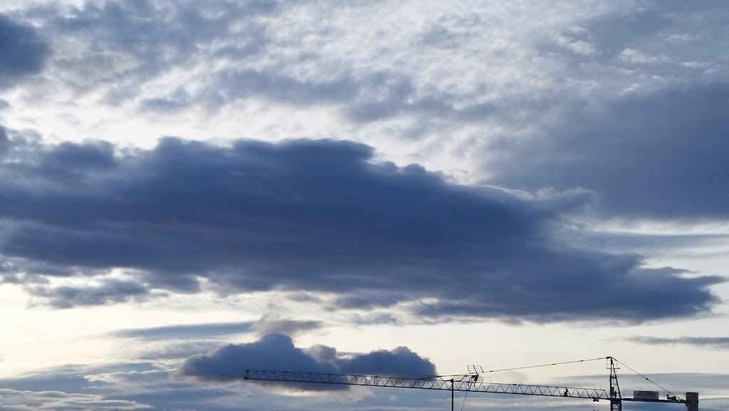 El Buitre de la Carretera