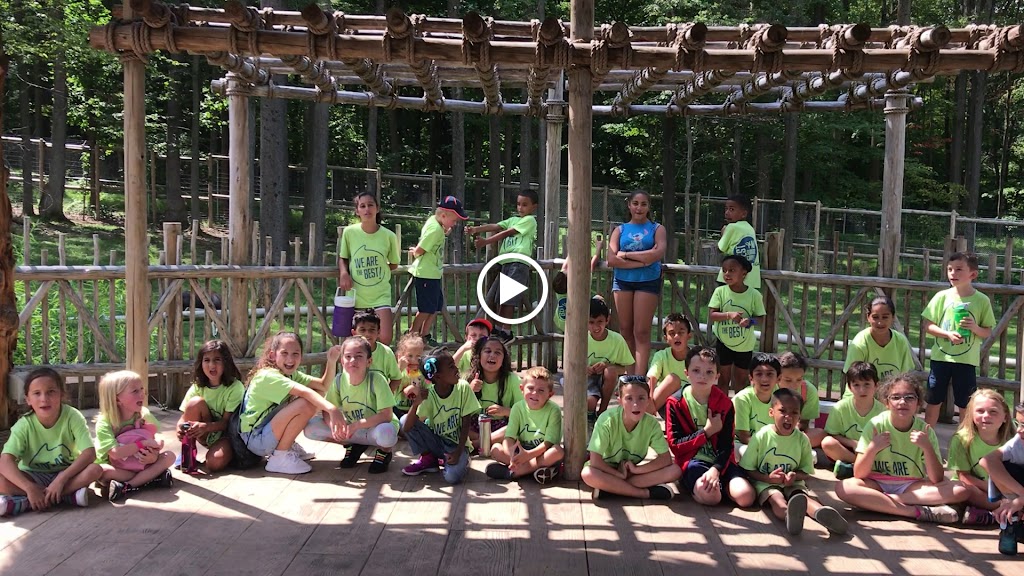  International Martial Arts