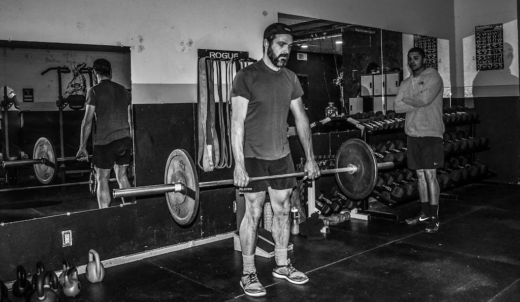  Apex Fitness Collective