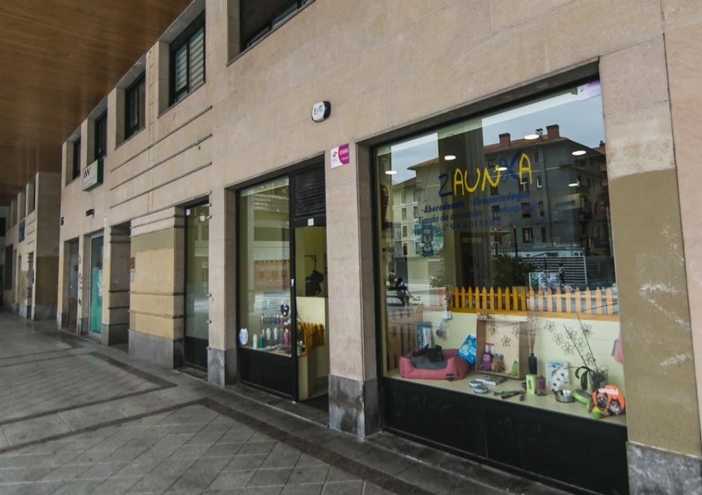 Zaunka txakur ileapaindegia