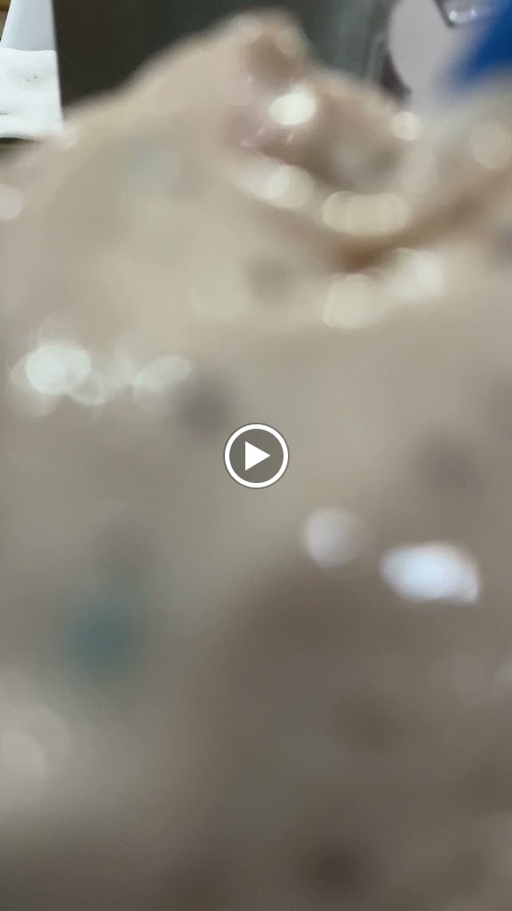 Cafeteria Juventud — Videos