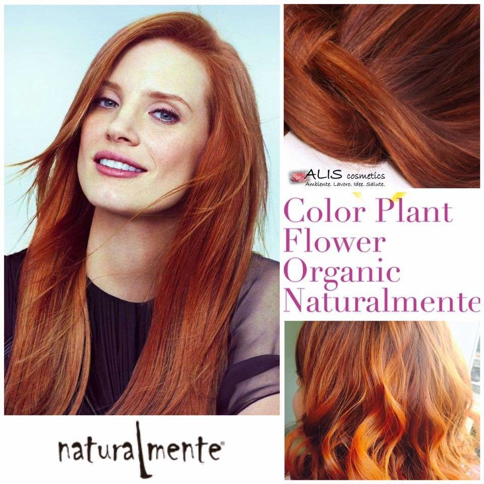 Peluqueria Ecologica Naturalment Premia Mar Plantas Henna Curly crioterapia capilar — Peinado