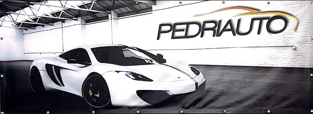 Automoviles Pedriauto Motors — Del propietario