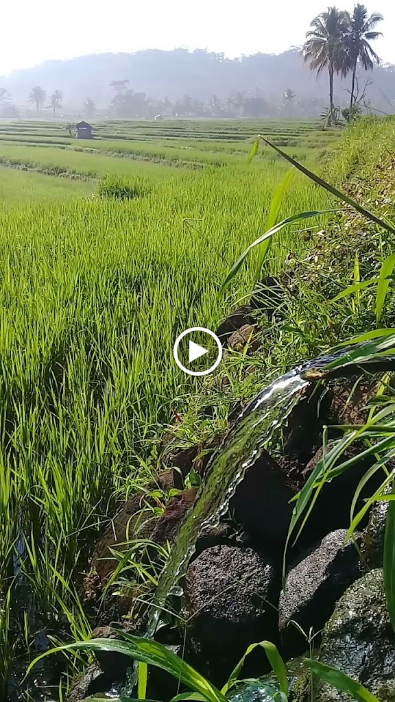 Lapangan Voly Cilongok