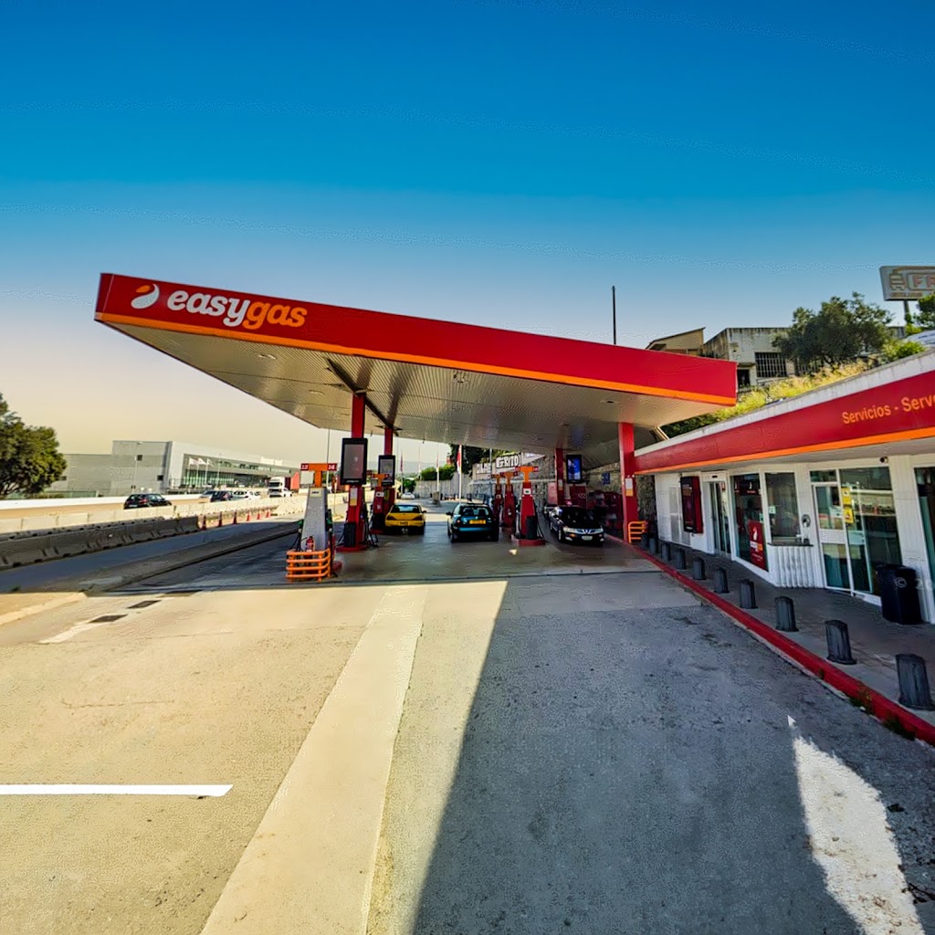Gasolinera EasyGas Llica — Estacion de servicio