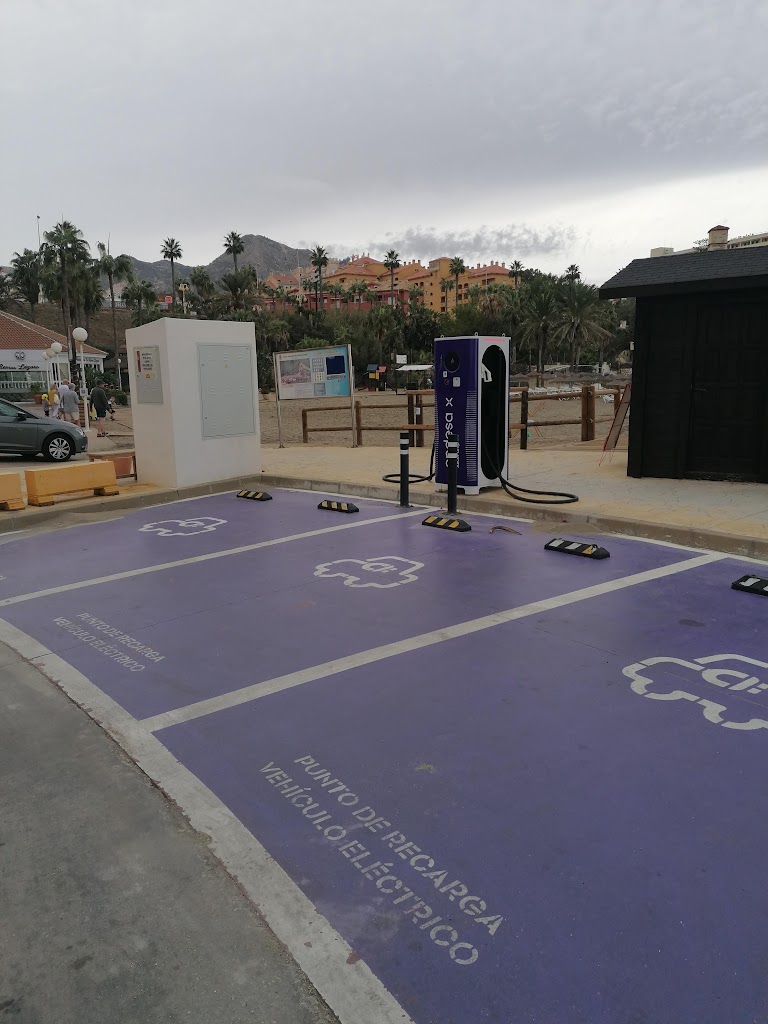 Endesa X Charging Station