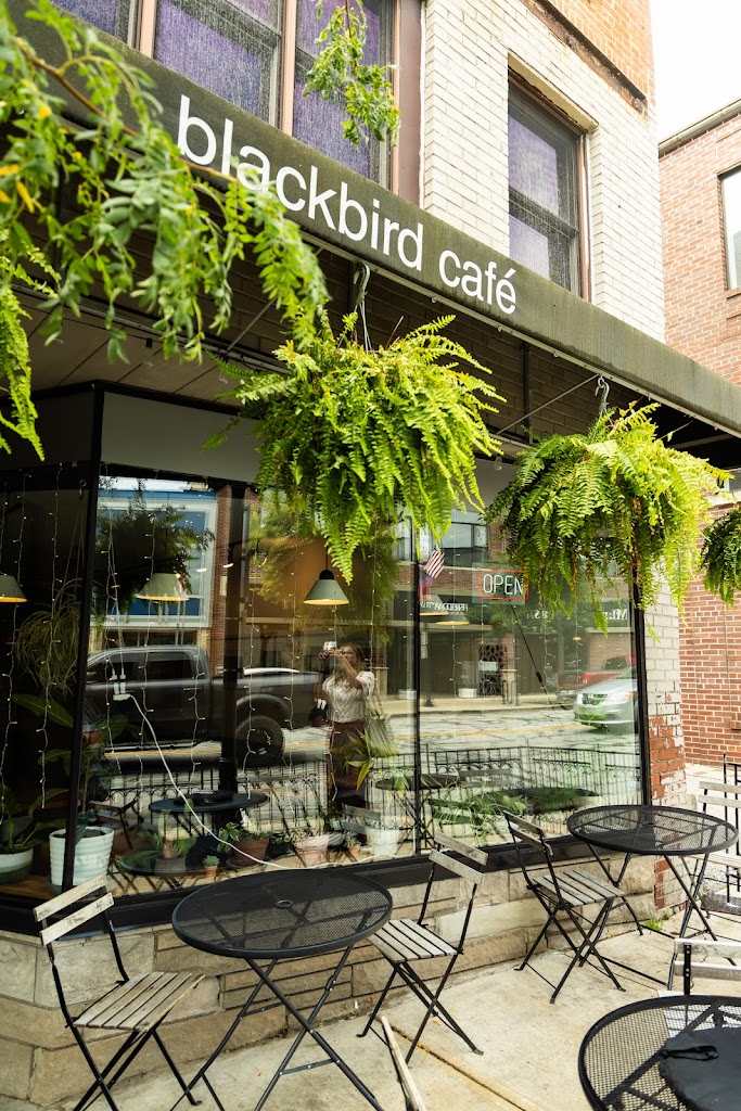 Photo of Blackbird Cafe