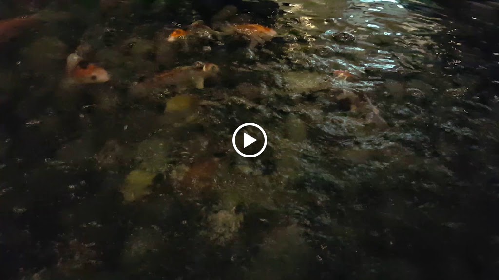 Videos