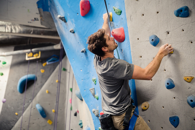  Vertical Hold Rock Climbing Gym
