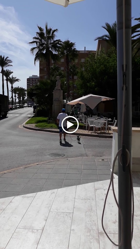 Restaurante Cor de Carxofa — Videos