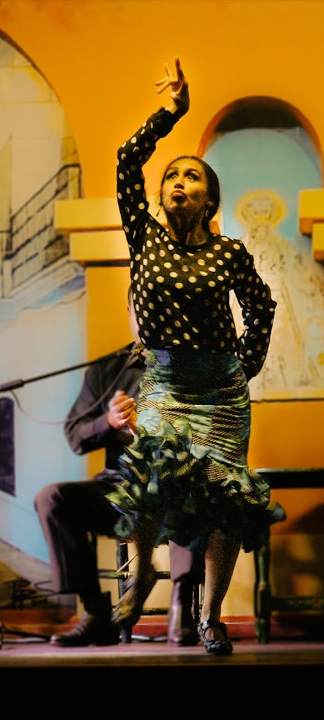 Escuela de danza Las Esparteras