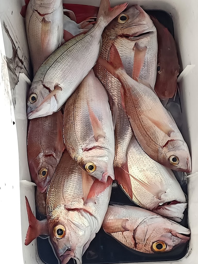 TaHo boat rental and charters