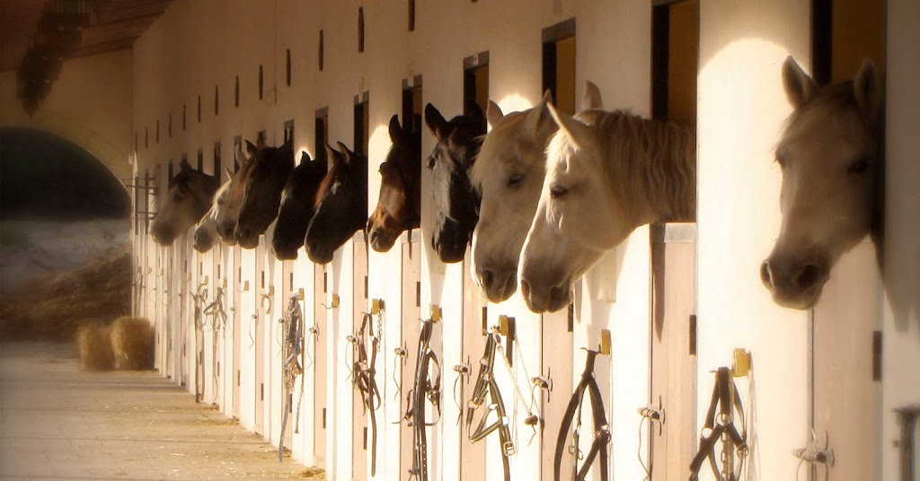 CENTRO HIPICO LEGEND