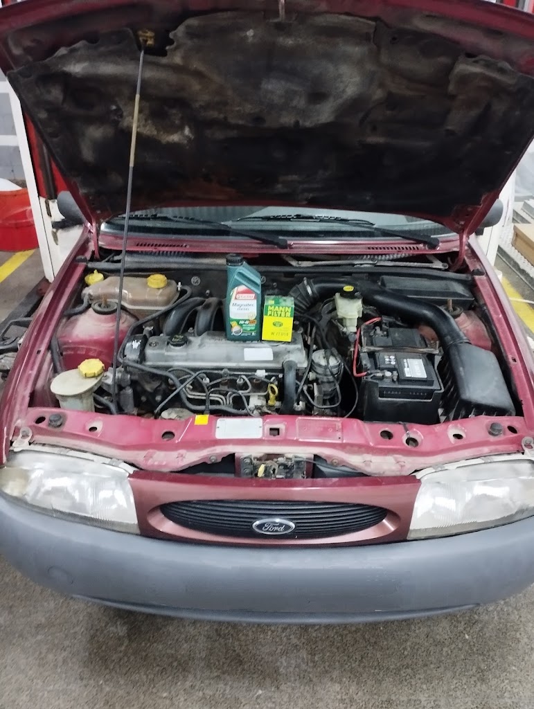 Talleres Autotrac Vinaros S.L.U — Mas recientes