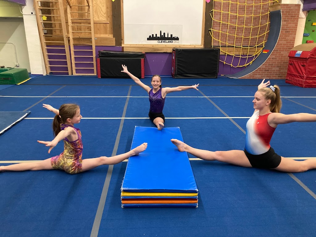  United Gymnastics School
