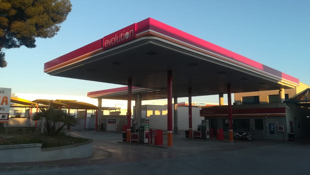 Evolution - E.S. Petro Ribes