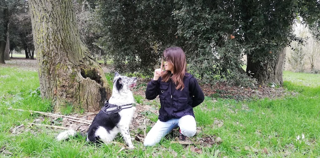 Psydog - Educacion canina