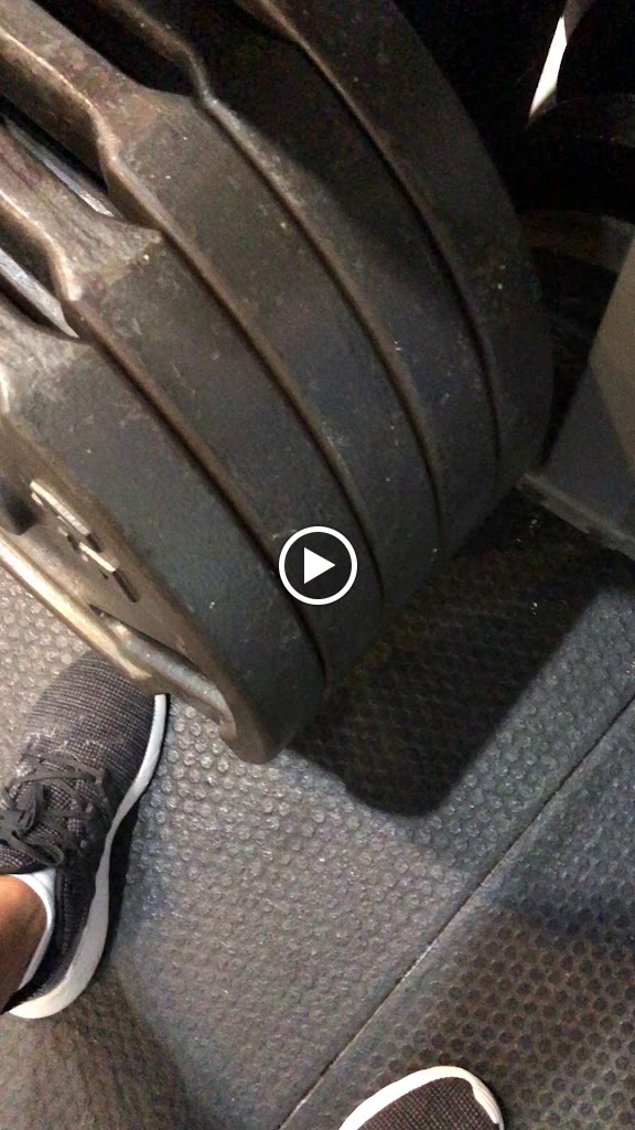  Davie Fit Bodies Gym