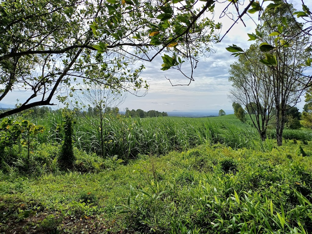 Tempat camping ground lereng gunung raung