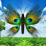 Cover Image of Herunterladen Peacock Butterfly 1.0 APK