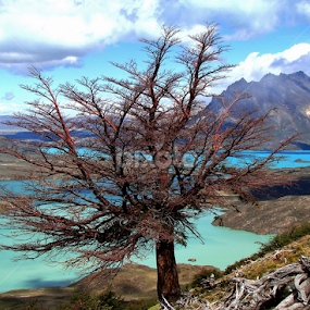 Belgrano Lake by LoRe Pics ARG - Landscapes Waterscapes
