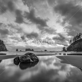 Olympic National Park by Ferruccio Galbiati - Black & White Landscapes
