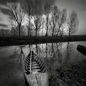 wetland by Claudio Minghi - Black & White Landscapes
