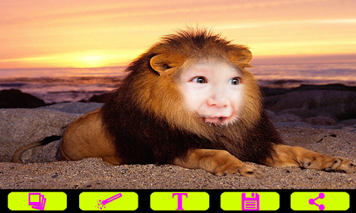 Free Lion Photo Frames APK