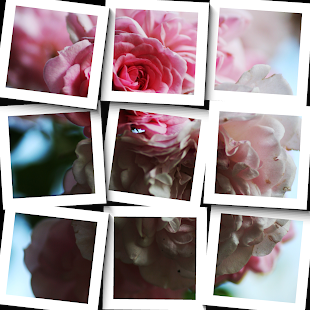Mosaic Art Lab(圖2)-速報App