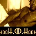 dhooks logo