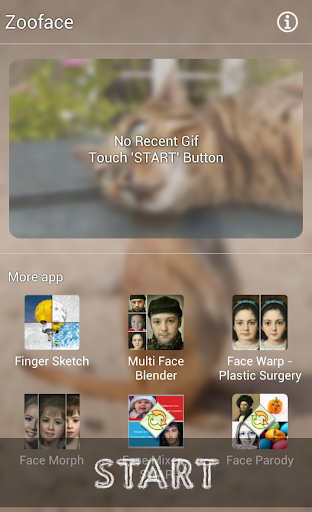 Zooface - GIF Animal Morph 1.3.6 screenshots 5