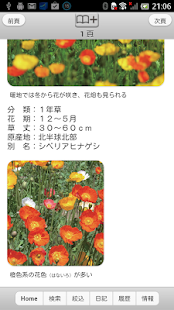 散歩で見かける四季の花(圖5)-速報App