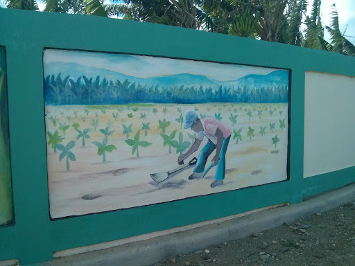 Mural Sembrado De Plátano