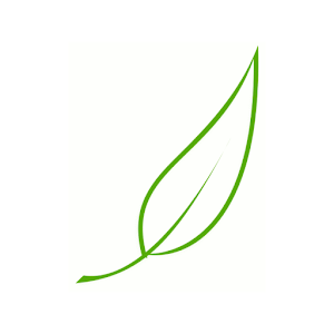 Minimalism - a practical guide.apk 1.0