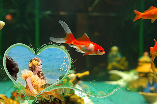 Aquarium Photo Frames Pro