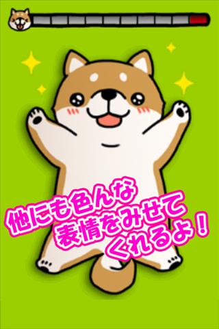 Tickling dog Screen 3