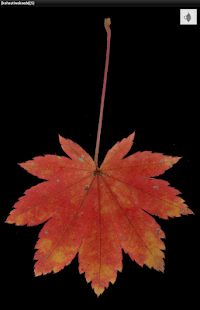 Japanese autumn leaves(圖5)-速報App