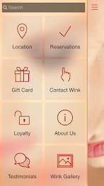 WinkWink DC poster 13