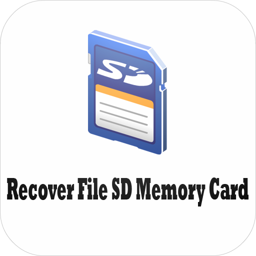 Recover File SD Memory Card